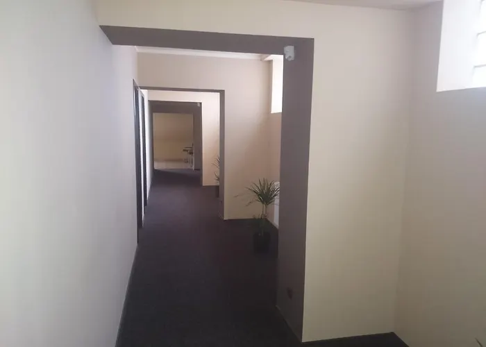 Crinul 3* Крайова